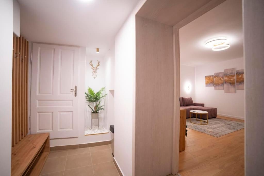 Coban Residence - A3 - Scandinavian Apartment Braşov Eksteriør billede