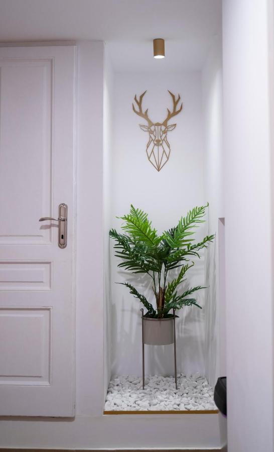 Coban Residence - A3 - Scandinavian Apartment Braşov Eksteriør billede